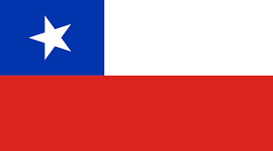 Bandera Chile grande